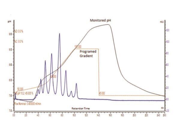 Comprehensive Characterisation Of Monoclonal Antibodies Using Charge 