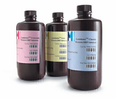 Pre-mixed HRP Substrates