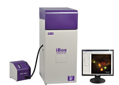 
	Macro to Micro Fluorescence In Vivo Imaging with the iBox Explorer Imaging Microscope  
