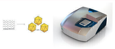 Dynamic Light Scattering System used for Measuring Protein Structural Transition