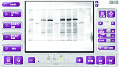 Imager for Genomics and Proteomics Research now with Multiple Language Interface
