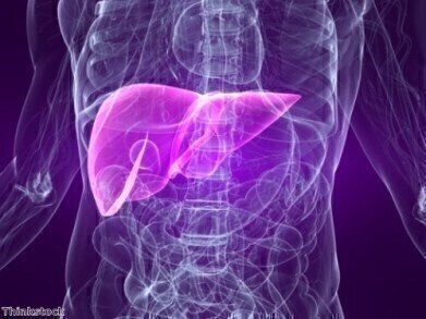 Breakthrough research grows liver cells