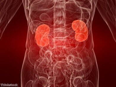 Clinical trial develops non-invasive test for early indication of kidney transplant rejection