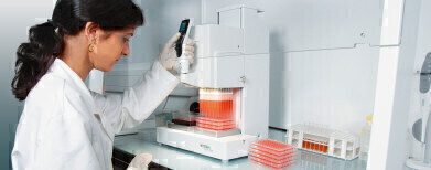 High Throughput Screening of Cellular Bioenergetics
