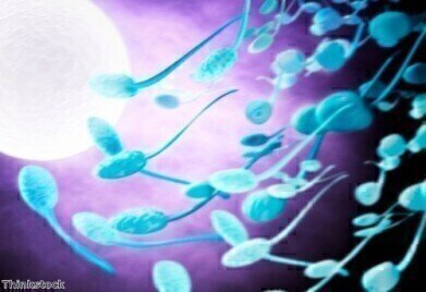 'Robotic sperm' controlled with magnets