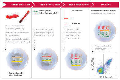 Launch of First Assay to Detect RNA and Protein Simultaneously in Millions of Single Cells 
