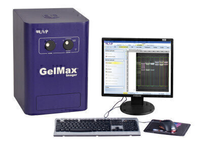 Imaging Fluorescent Sprint Next Gels with the GelMax Imager
