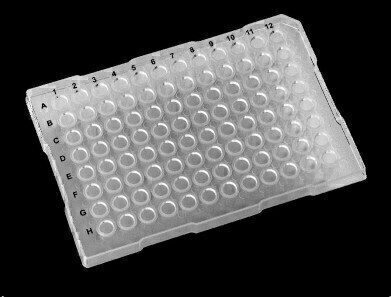 Polypropylene PCR plates 
