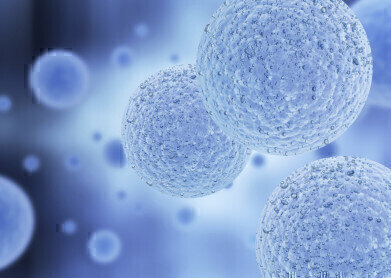 Real-Time Intracellular Oxygen Assay
