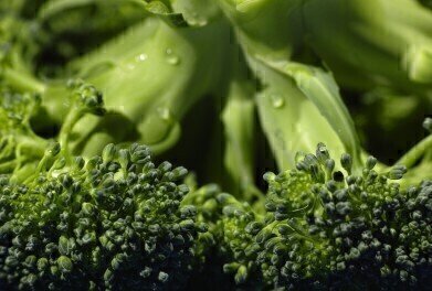 Is Broccoli the Secret to Anti-Ageing?
