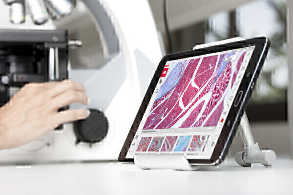 Panthera L The Smart Microscope By Motic Labmate Online