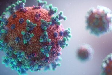 New Human COVID-19 Antibody Library Announced
