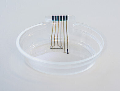 New Technology Leads to Smart Petri Dish Development