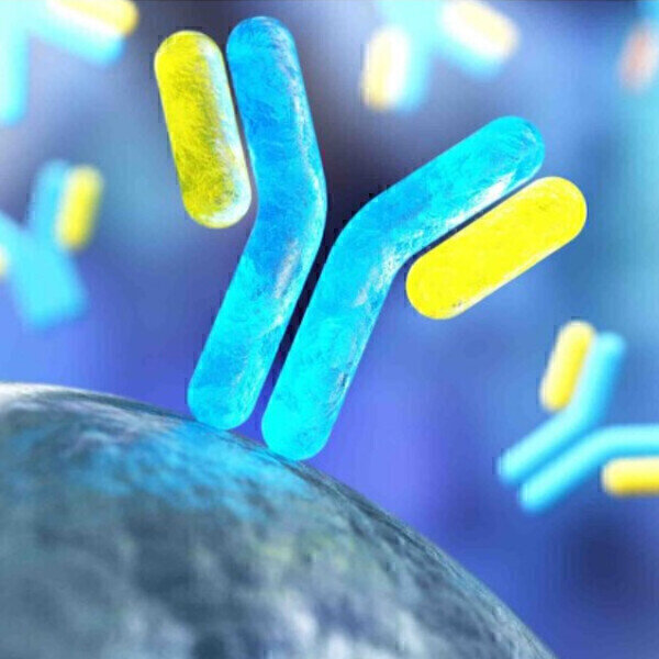 High-performance magnetic beads for immunoassay optimisation Labmate Online