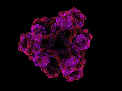 Reagents for protein studies - from separation to sequencing