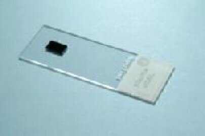 New Silicon Calibration Slide for Raman Spectrometers Labmate Online